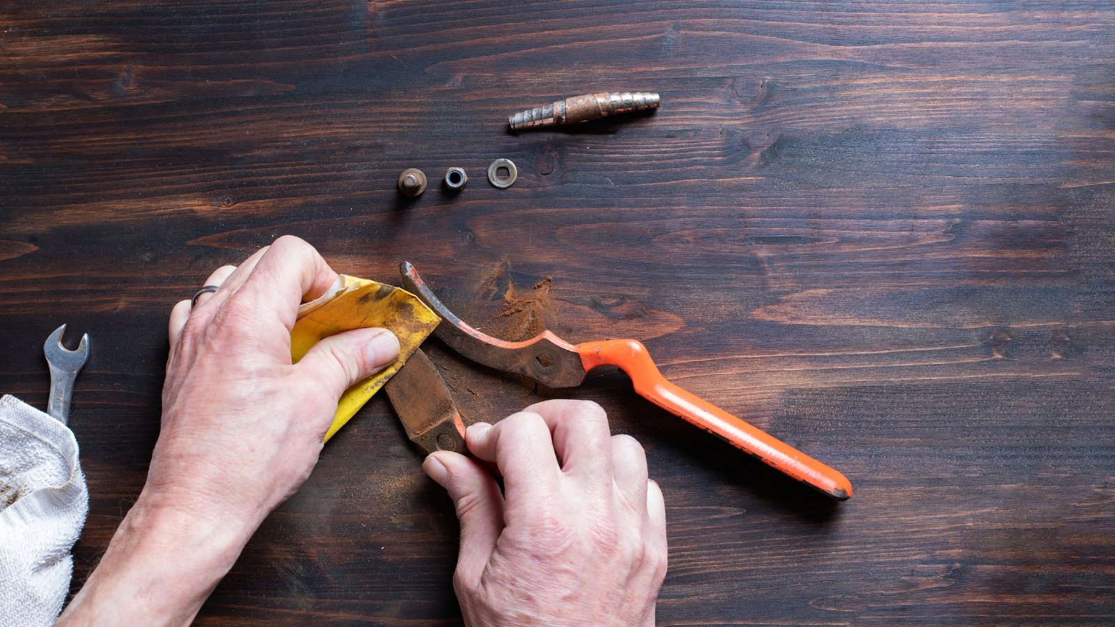 Hands carefully scrubbing a pruner with steel wool on a dark wooden surface, with a cloth and additional small parts scattered around to aid in rust removal.