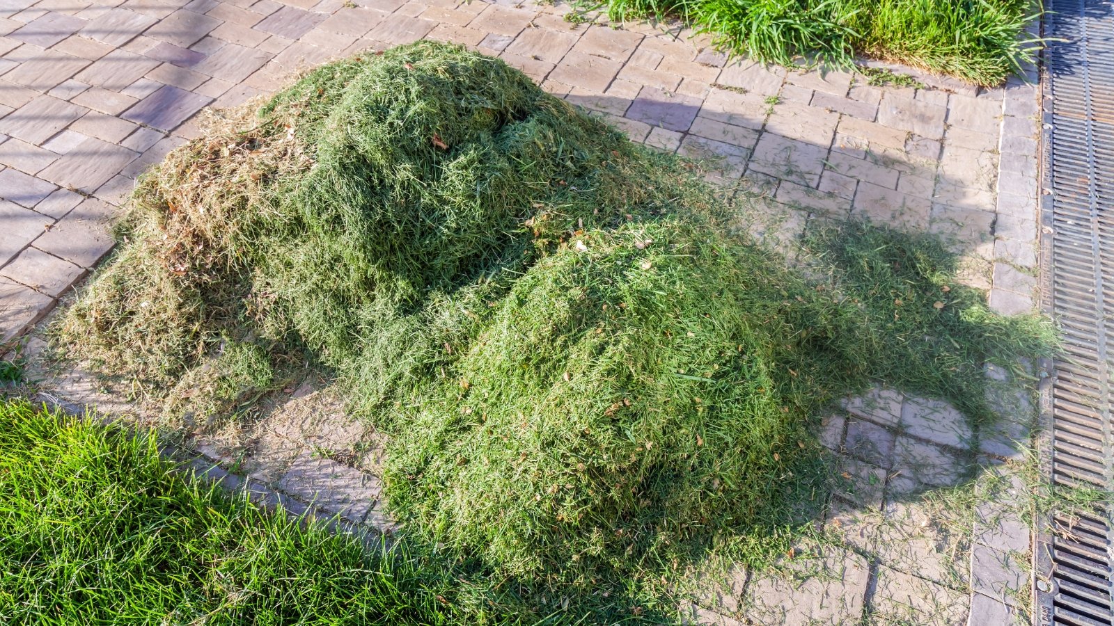 A large heap of freshly cut green grass clippings forms on a stone path, with remnants of pale green and dried blades scattered around the pile.