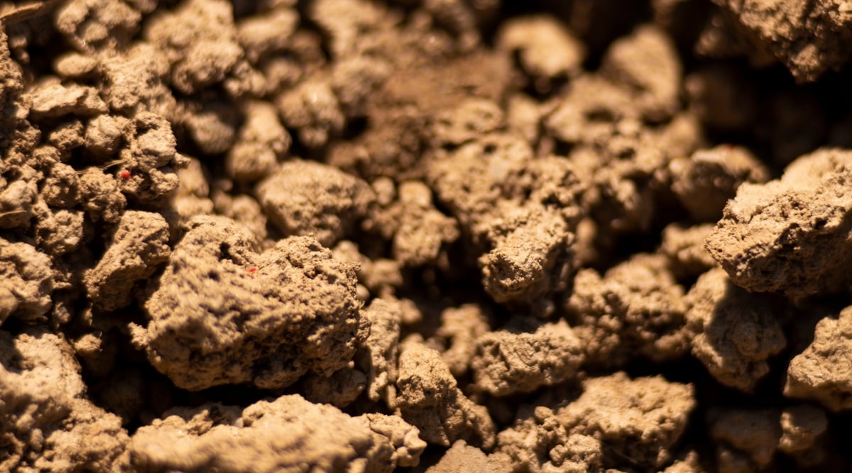 Close-up of clay. Clay is characterized by a dense and compact texture, comprised of tiny, closely packed particles that form a cohesive mass. Its color is deep brown.