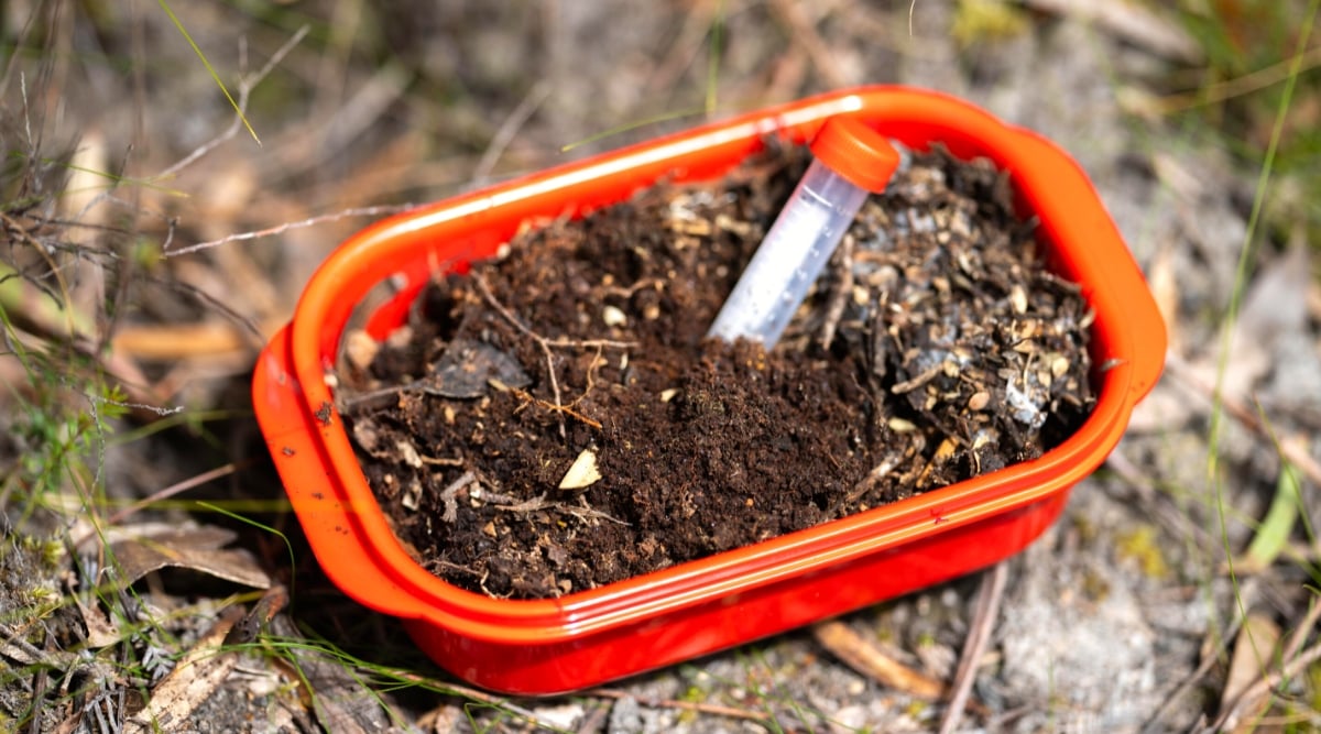 Close-up of samples in a test tube in a field. The rectangular bowl is plastic and red. Several types of with different textures in a tray. A small plastic volumetric flask with a red lid is stuck into it. 