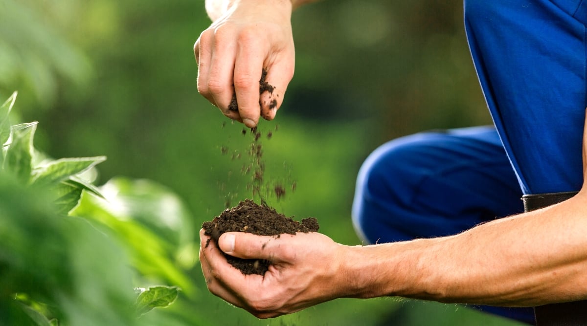 Close-up of a gardener against a blurred green background. The gardener is dressed in blue overalls. 