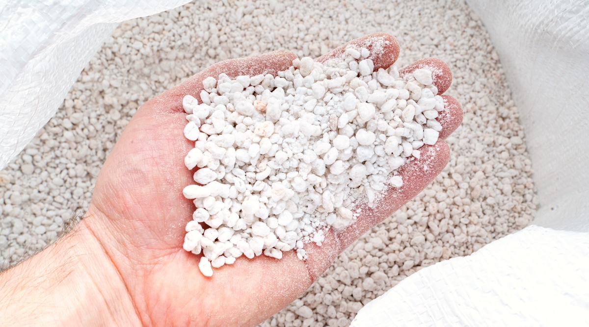 Close-up of a gardener's hand holding a handful of Perlite against a blurred background of a white bag full of Perlite. Perlite is a lightweight and porous volcanic glass that appears as small, round, and white particles. Its granular texture is characterized by numerous tiny cavities on the surface.