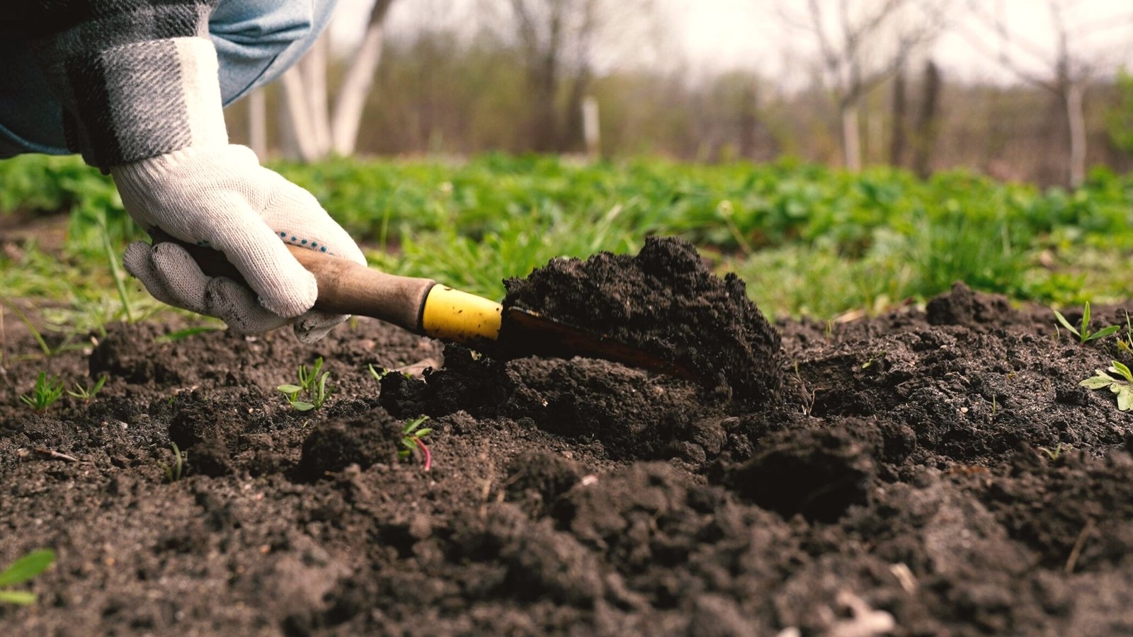 Close-up of a gardener digging the soil in the garden with a small shovel. The gardener is wearing white gloves and a plaid shirt. The soil is black, loose, slightly lumpy.