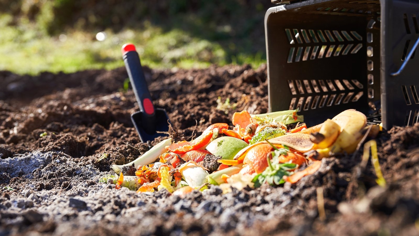 Close-up of making compost in a sunny garden. There are kitchen scraps, ashes and an overturned black plastic bin on the black soil. A small black spade is stuck into the soil.