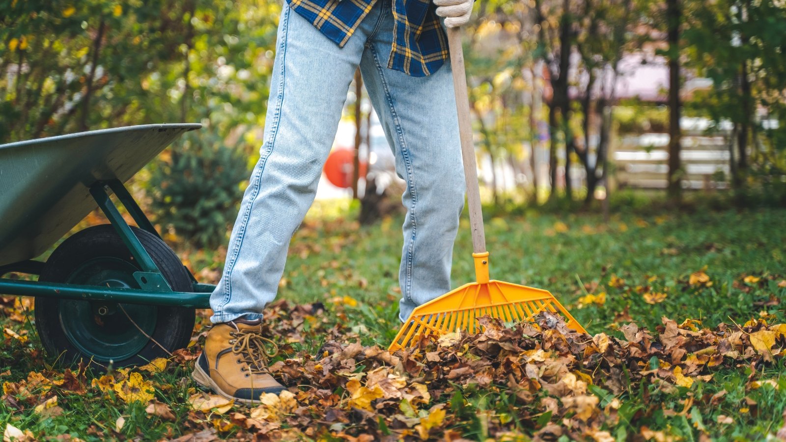 7 Steps to A Wildlife-Nice Fall Yard Cleanup