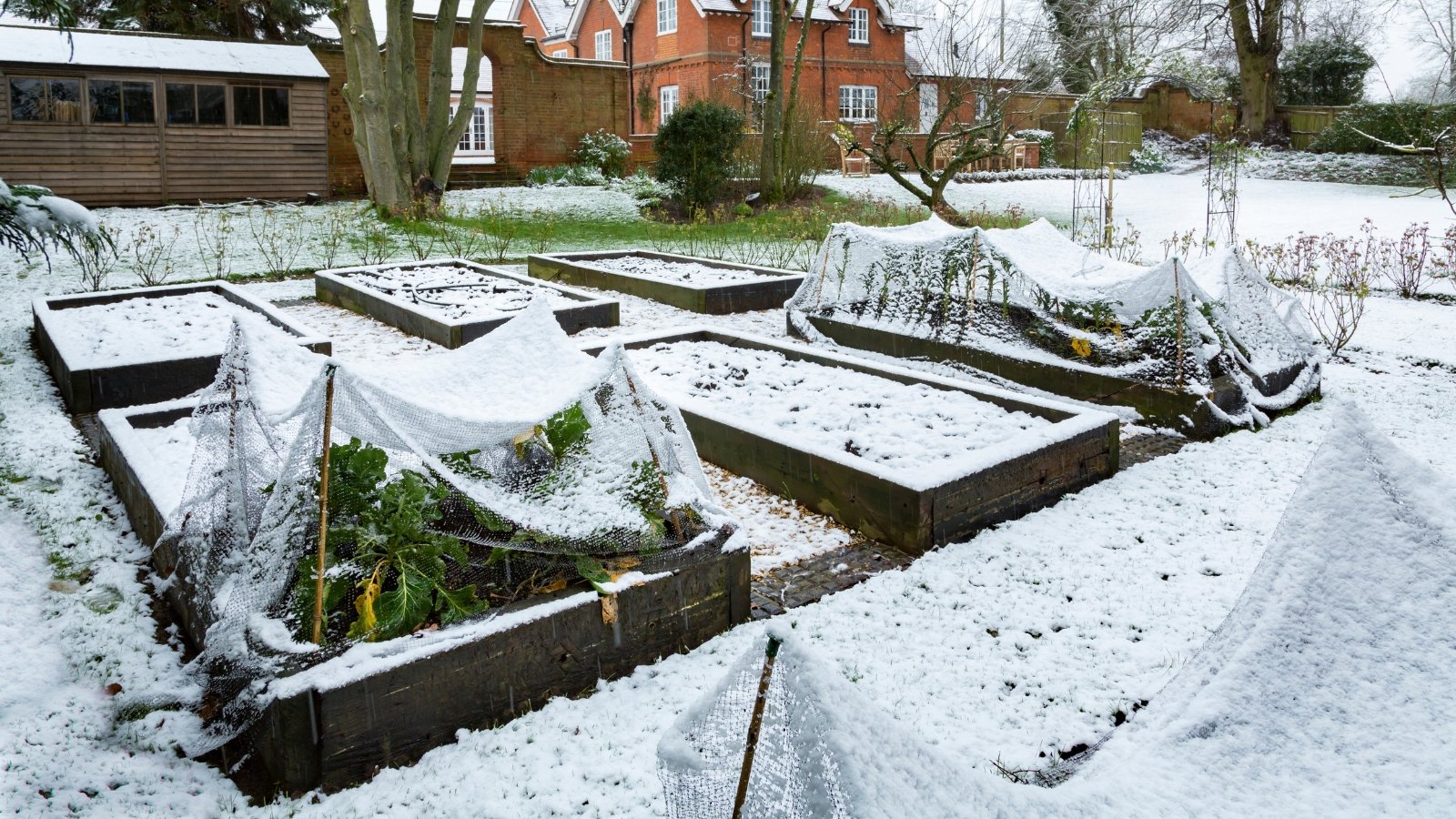 Strategies to Put collectively Raised Beds for Winter